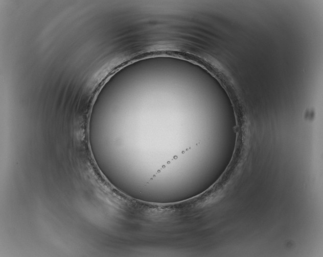 X0000112040929200908031513
