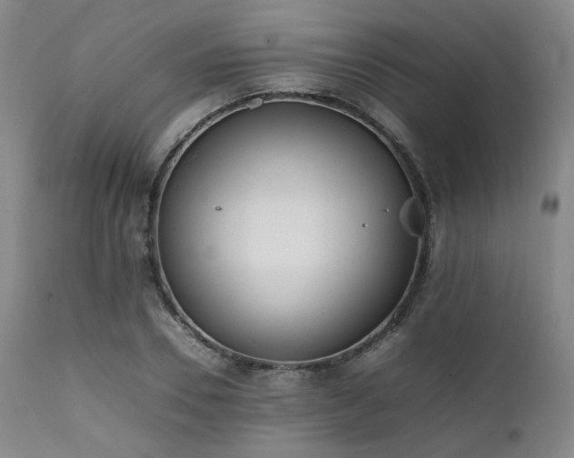 X0000112040930200908031513