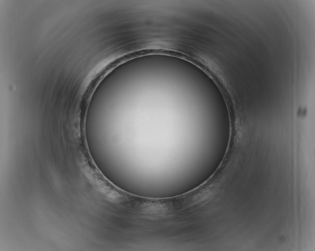 X0000112040931200908031513