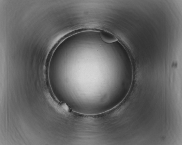 X0000112040932200908031513