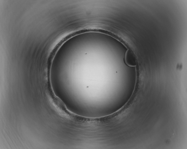 X0000112040934200908031513