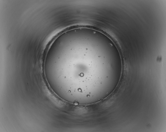 X0000112040935200908031513