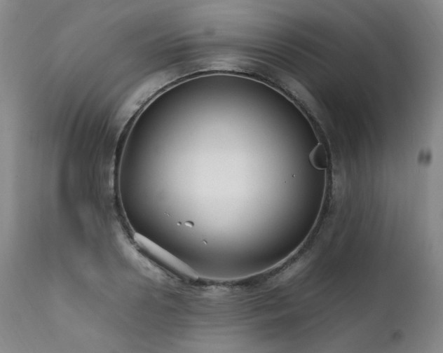 X0000112040938200908031513