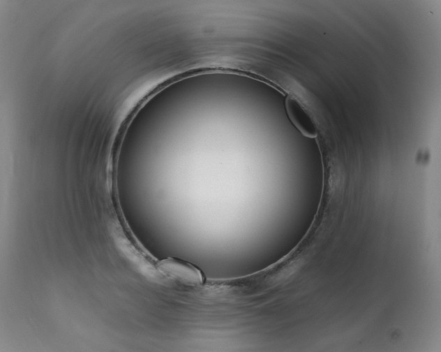 X0000112040940200908031513