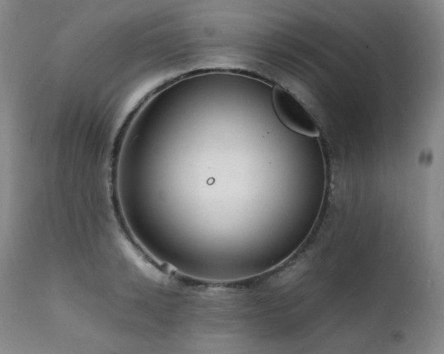X0000112040942200908031513