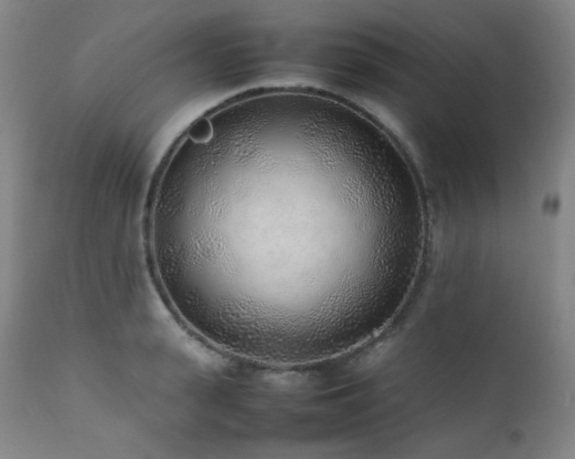 X0000112040943200908031513