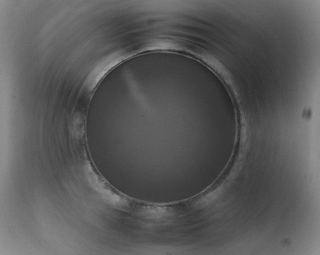 X0000112040945200908031513