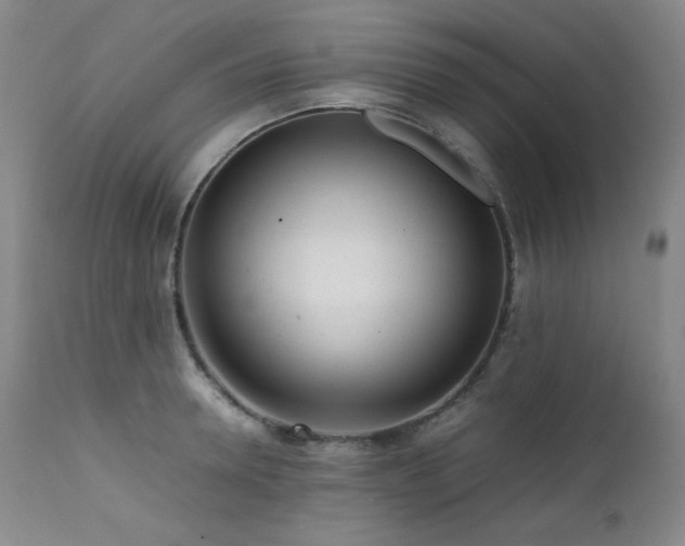X0000112040946200908031513
