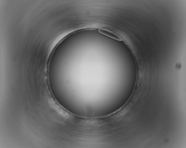 X0000112040948200908031513