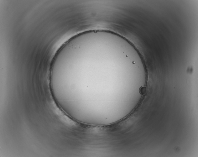 X0000112040950200908031513