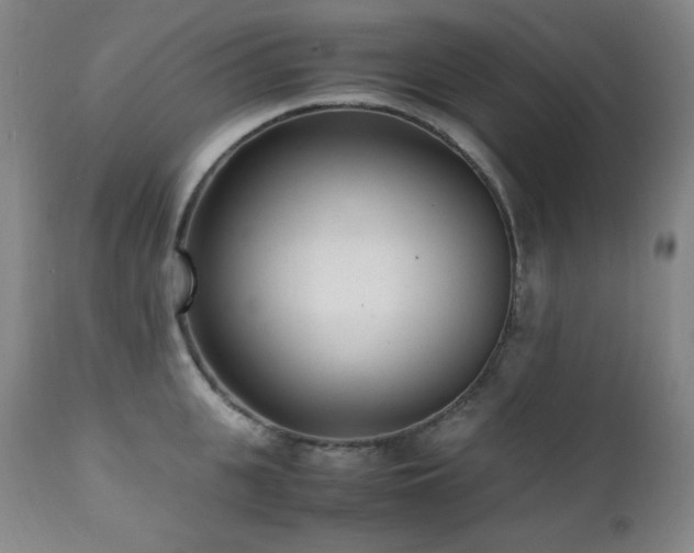 X0000112040951200908031513