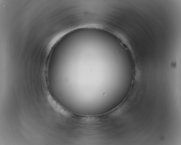 X0000112040952200908031513