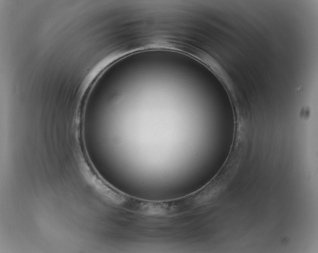 X0000112040955200908031513
