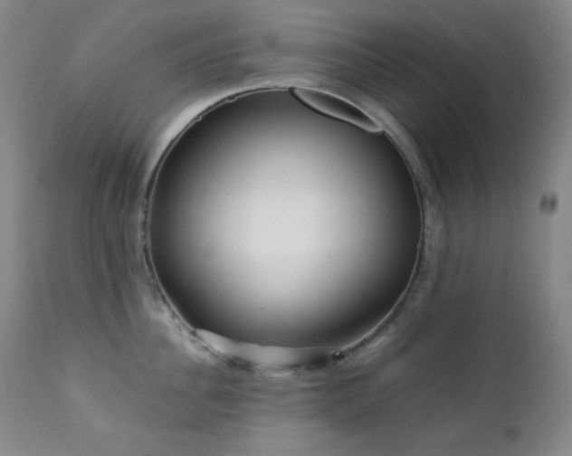 X0000112040956200908031513