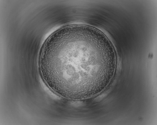 X0000112040957200908031513