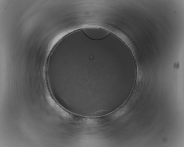 X0000112040958200908031513