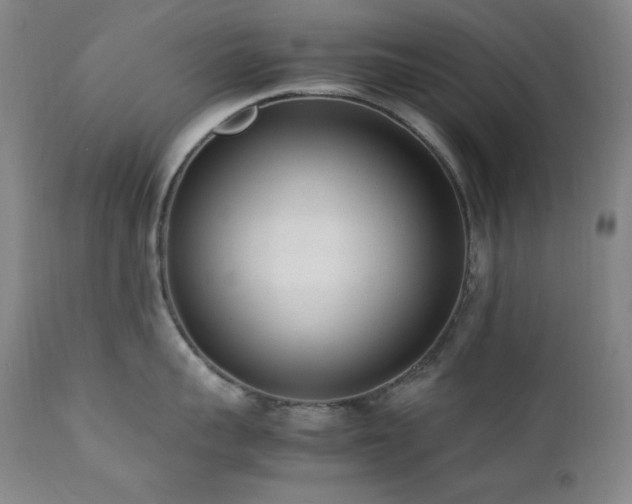 X0000112040959200908031513