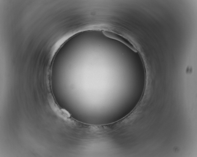 X0000112040960200908031513