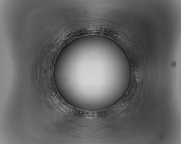 X0000112040961200908031513