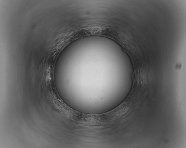 X0000112040962200908031513