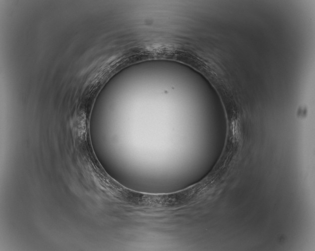 X0000112040963200908031513