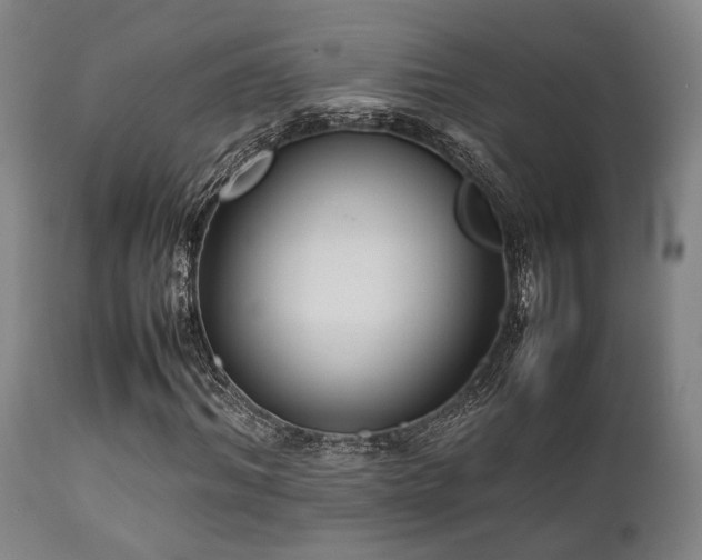 X0000112040964200908031513