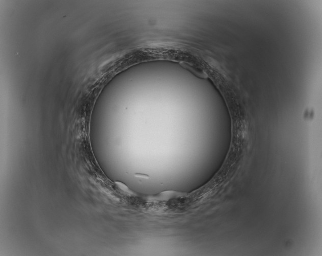 X0000112040965200908031513