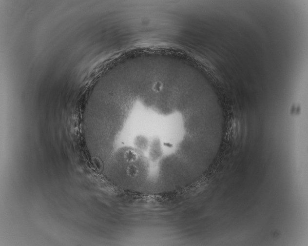 X0000112040966200908031513