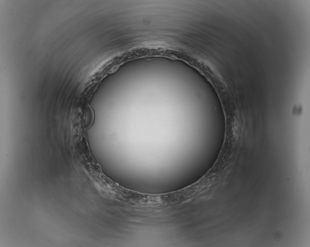 X0000112040968200908031513