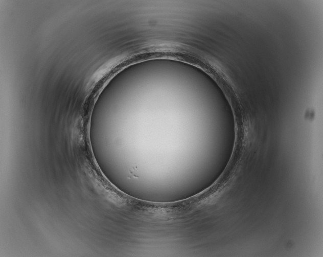 X0000112040970200908031513