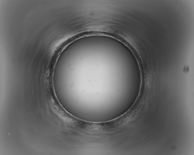 X0000112040971200908031512