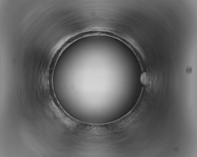 X0000112040972200908031512