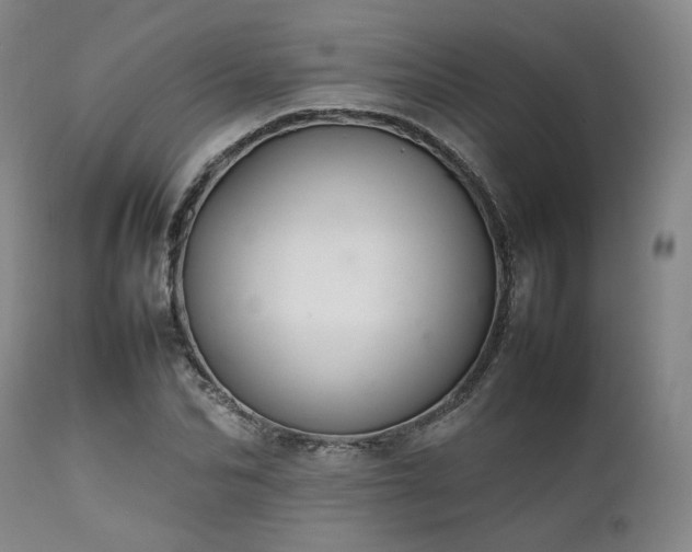 X0000112040974200908031512