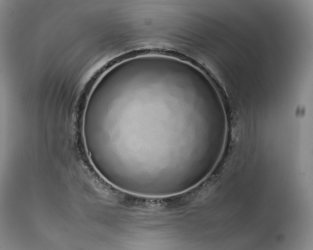 X0000112040975200908031512
