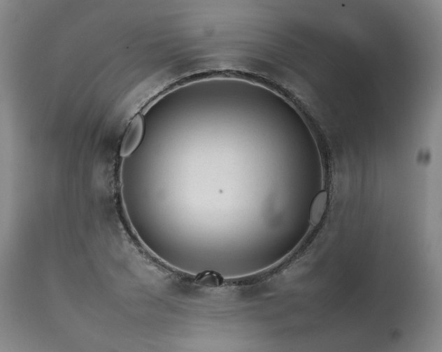X0000112040977200908031512
