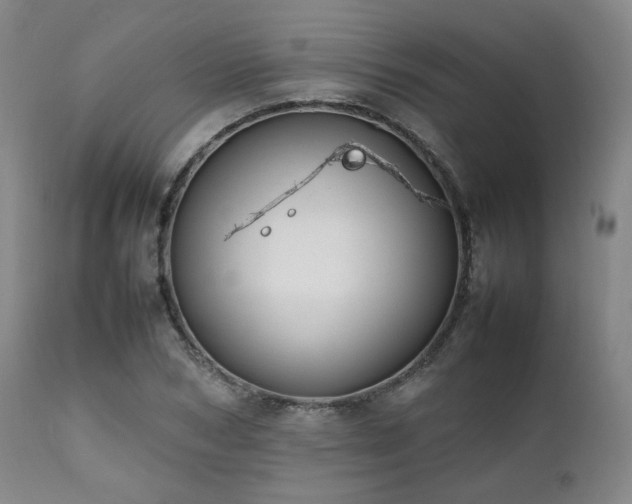 X0000112040978200908031512