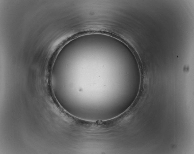 X0000112040979200908031512