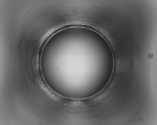 X0000112040982200908031512