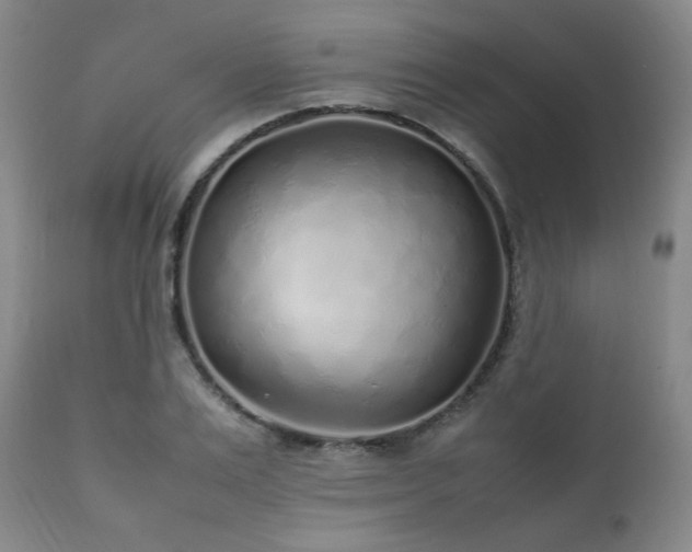 X0000112040983200908031512