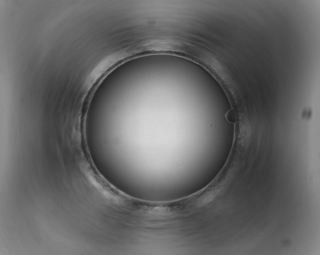 X0000112040986200908031512