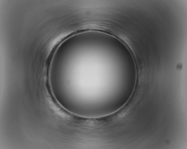 X0000112040987200908031512