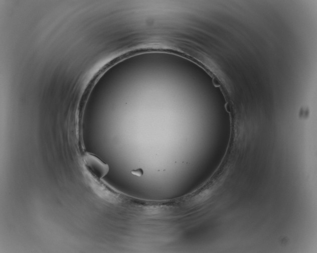 X0000112040988200908031512