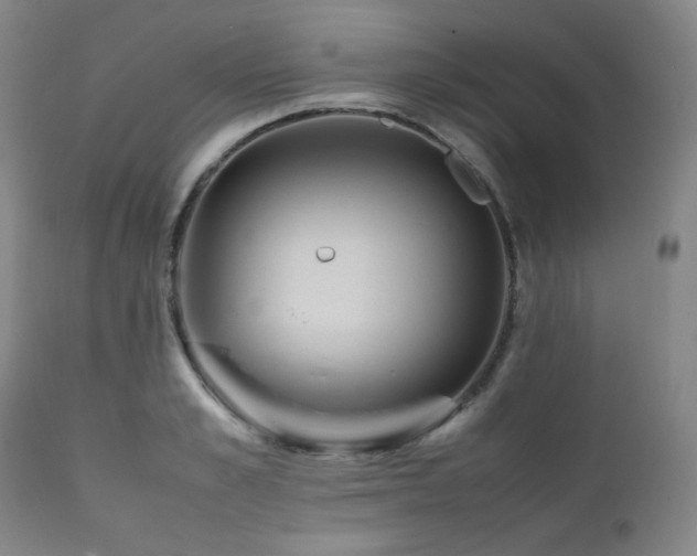 X0000112040989200908031512