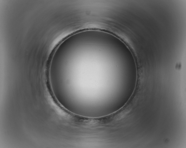 X0000112040991200908031512