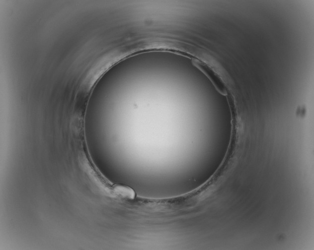X0000112040993200908031512