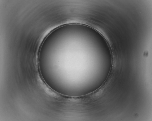 X0000112040996200908031512