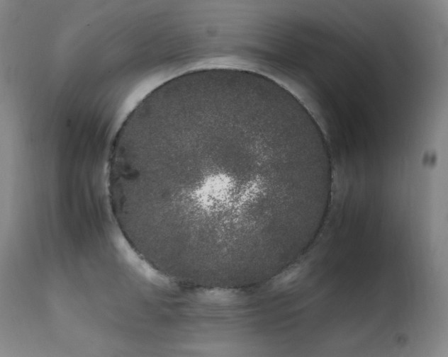 X0000112040998200908031512