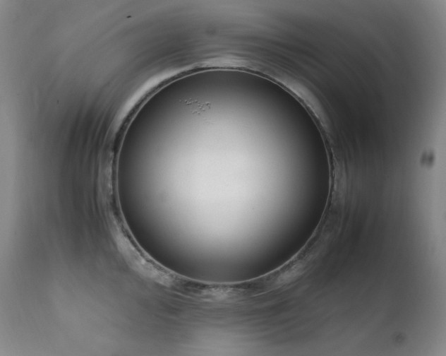 X0000112041000200908031512