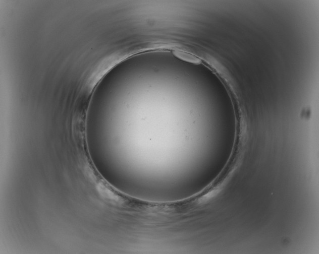 X0000112041001200908031512