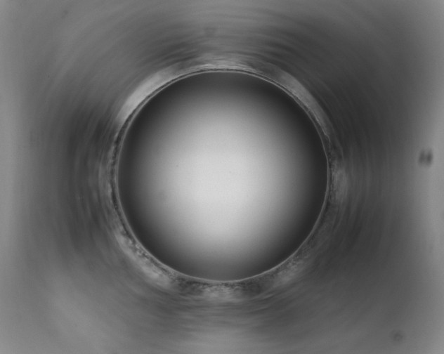 X0000112041002200908031512